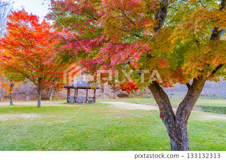 【山梨郡】水垣山自然公園的秋日黎明 133132313