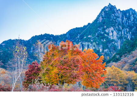 【山梨郡】水垣山自然公園的秋日黎明 133132316