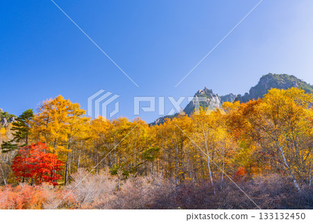 [Yamanashi Prefecture] The dazzling morning light at Mt. Mizugaki Natural Park and Mt. Mizugaki 133132450