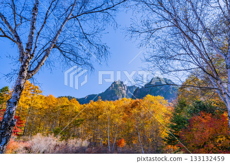 【山梨縣】水垣山自然公園和水垣山的晨光絢麗奪目 133132459