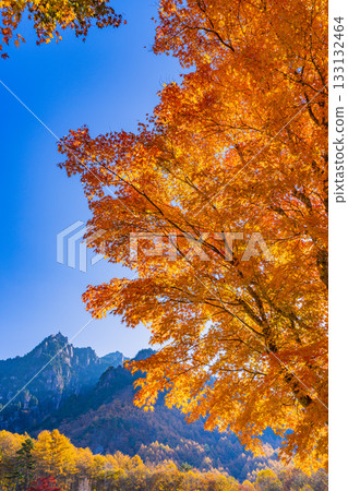 【山梨縣】水垣山自然公園和水垣山的晨光絢麗奪目 133132464