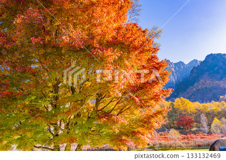 [Yamanashi Prefecture] The dazzling morning light at Mt. Mizugaki Natural Park and Mt. Mizugaki 133132469