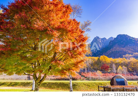 [Yamanashi Prefecture] The dazzling morning light at Mt. Mizugaki Natural Park and Mt. Mizugaki 133132470