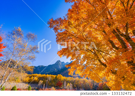 [Yamanashi Prefecture] The dazzling morning light at Mt. Mizugaki Natural Park and Mt. Mizugaki 133132472