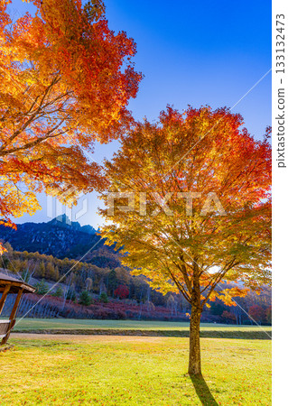 [Yamanashi Prefecture] The dazzling morning light at Mt. Mizugaki Natural Park and Mt. Mizugaki 133132473