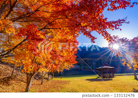 【山梨縣】水垣山自然公園和水垣山的晨光絢麗奪目 133132476