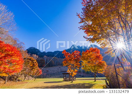 [Yamanashi Prefecture] The dazzling morning light at Mt. Mizugaki Natural Park and Mt. Mizugaki 133132479