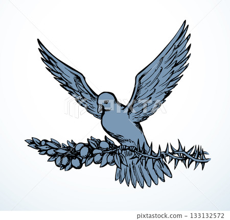 Vector drawing. Dove on the thorn branch Vector drawing. Dove on the thorn branch 133132572