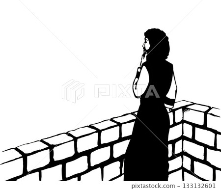 Vector drawing. King David on the roof of palace 133132601