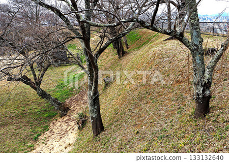 白川小峰城的土質城牆（福島縣白川市） 133132640