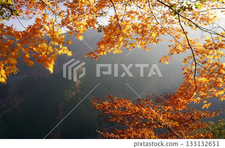 納梅戈谷的秋色 納梅戈谷的秋色 133132651