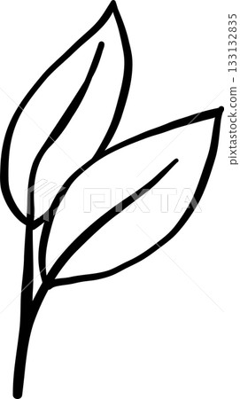 Two Leaves Outline balck and white hand drawn Two Leaves Outline balck and white hand drawn 133132835