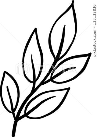 Leaves Branch Outline balck and white hand drawn Leaves Branch Outline balck and white hand drawn 133132836