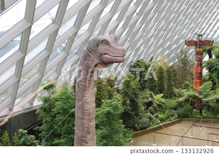 Giant Dinosaurs in the Cloud Forest Giant Dinosaurs in the Cloud Forest 133132926
