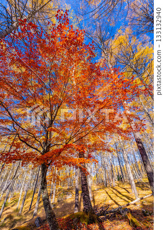 【山梨縣】攀岩勝地水垣山的秋色美不勝收 133132940