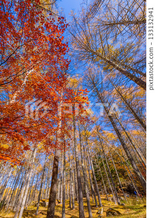 【山梨縣】攀岩勝地水垣山的秋色美不勝收 133132941