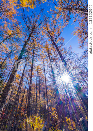 【山梨縣】攀岩勝地水垣山的秋色美不勝收 133132943