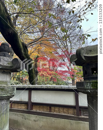 上野公園 台東區 上野公園 台東區 133133209