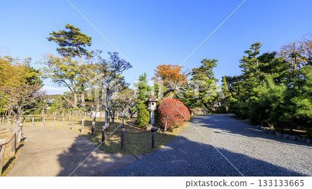 秋季的明治紀念大磯庭園 133133665