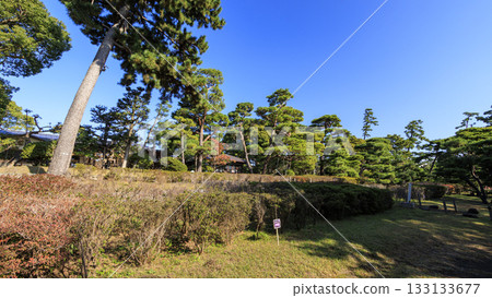 Meiji Memorial Oiso Garden in autumn 133133677