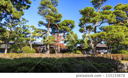 Meiji Memorial Oiso Garden in autumn Meiji Memorial Oiso Garden in autumn 133133678