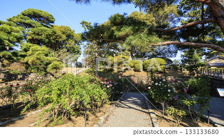 秋季的明治紀念大磯庭園 秋季的明治紀念大磯庭園 133133680