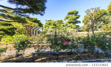Meiji Memorial Oiso Garden in autumn Meiji Memorial Oiso Garden in autumn 133133681