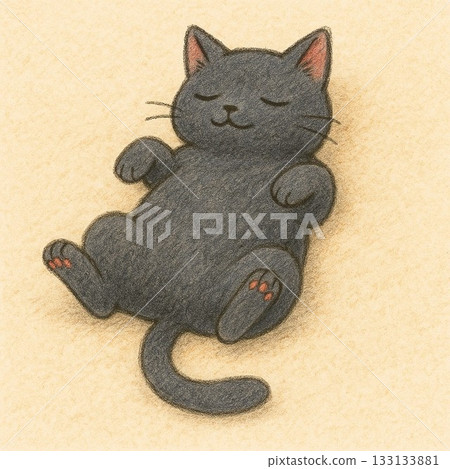 睡覺的貓 133133881