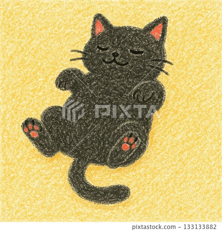 睡覺的貓 133133882