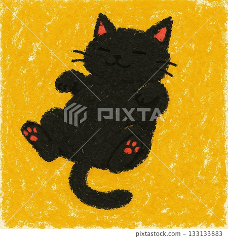 睡覺的貓 133133883