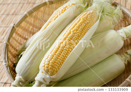 玉米 玉米 133133909