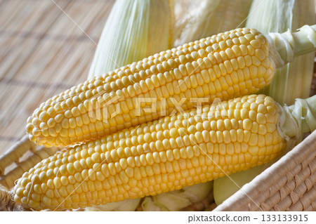 corn  133133915