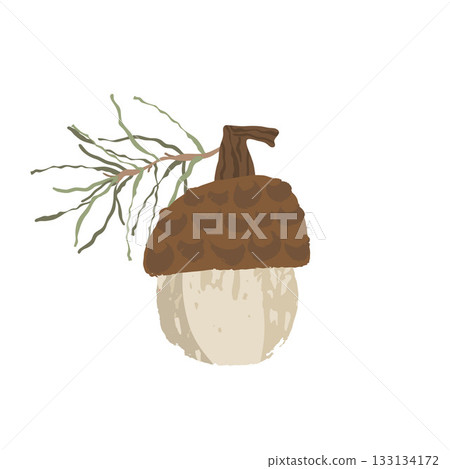 A small acorn with a branch on top of it. The acorn is brown and white. 133134172