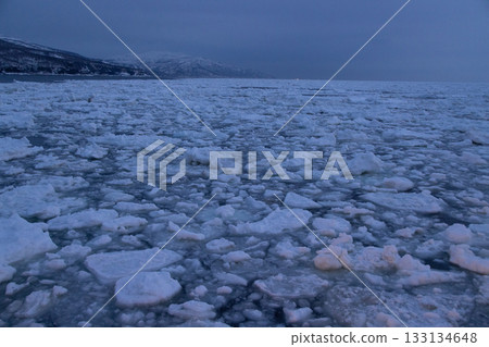 清晨的羅臼海被浮冰覆蓋。 133134648
