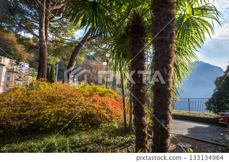 Ciani park with autumn leaf color in Lugano city 133134964