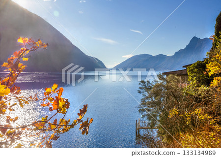 Olive trail on Lake Lugano next to Lugano city  - AUTUMN LEAF COLOR 133134989