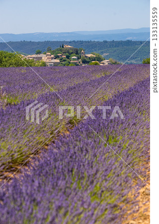 View of Entrevennes village, Provence France 133135559