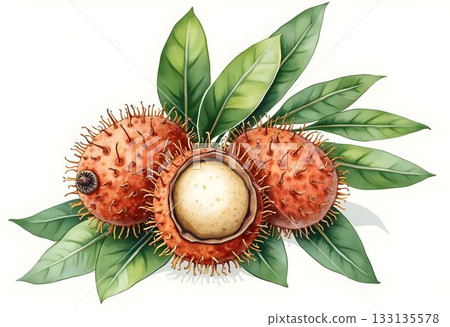 Exotic fruit arrangement featuring lychee and tropical green leaves in a natural setting 133135578