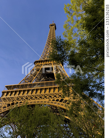 Exploring the beauty of the Eiffel Tower in Paris on a sunny day Exploring the beauty of the Eiffel Tower in Paris on a sunny day 133136288