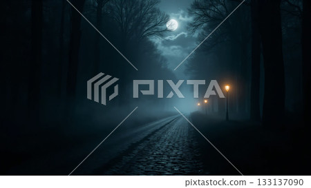 Road of lights and fog Road of lights and fog 133137090