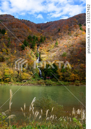 山形縣最上峽白絲瀑布的深秋景色 133137482
