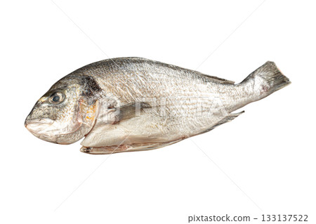 Isolated whole raw fresh fish on white Isolated whole raw fresh fish on white 133137522
