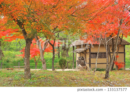 Autumn in Azumino: Watermill at Daio Wasabi Farm Autumn in Azumino: Watermill at Daio Wasabi Farm 133137577