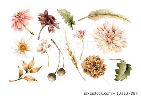 Autumn flowers leaves set. Fall plants Dahlia Chrysanthemum Daisy. Watercolor hand drawn floral illustration isolated on white background for wedding home textile cosmetic package porcelain crockery 133137887