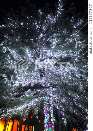 Illumination 1203 01 133137897