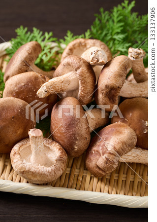 Shiitake mushrooms in a colander 133137906