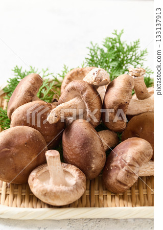 Shiitake mushrooms in a colander 133137913