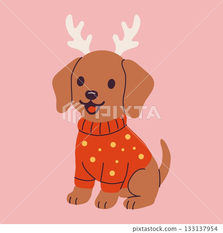 Cute Christmas Dog in Sweater with Reindeer Antlers Cute Christmas Dog in Sweater with Reindeer Antlers 133137954