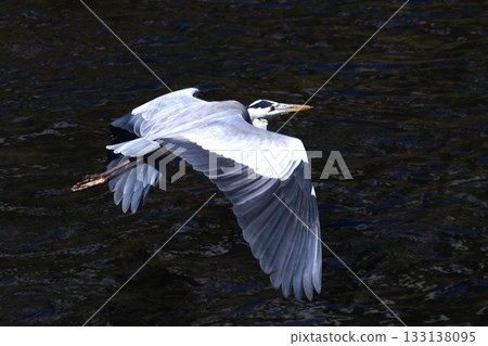 白鷺喀尾河 白鷺喀尾河 133138095