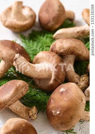 Shiitake 133138166